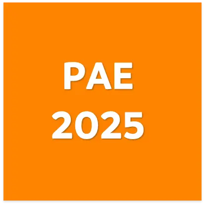 CURSO/1037 - Procedimiento Administrativo de Ejecución (PAE)
